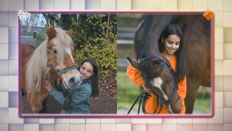 Voor Het Blok | Voor het Blok